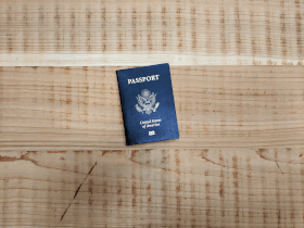 Visa